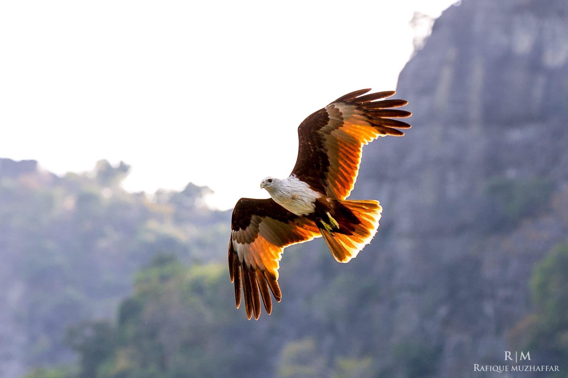 Malaysia